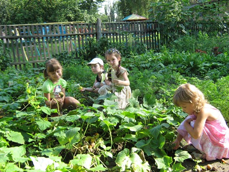 Кікніть щоб збільшити